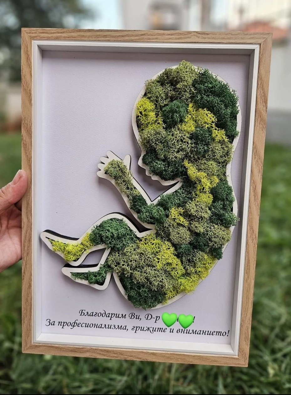 Рамка бебе със скандинавски мъх